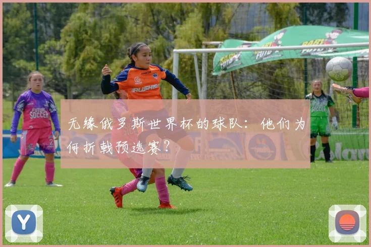 无缘俄罗斯世界杯的球队：他们为何折戟预选赛？