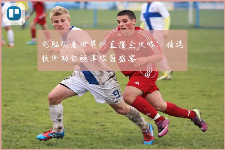 电脑观看世界杯直播全攻略:精选软件助你畅享绿茵盛宴