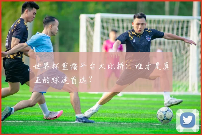 世界杯重播平台大比拼：谁才是真正的球迷首选？